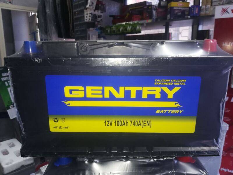 12V 100 Ah Gentry Akü - 1