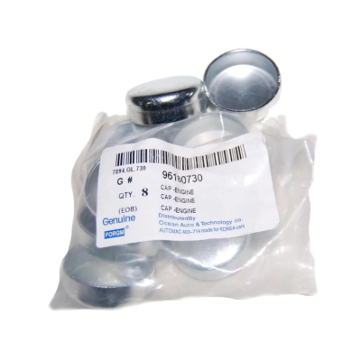 Blok Su Tapası 34 Mm Astra Vectra Capti Cruz Lacetti - 1