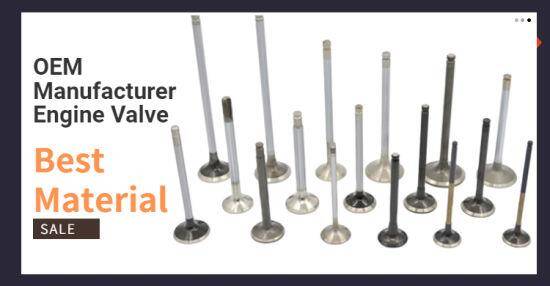 Çelik Subap Takımı Cruze Astra 1.6 Aveo 1.4 09 - 11 Kore - 1