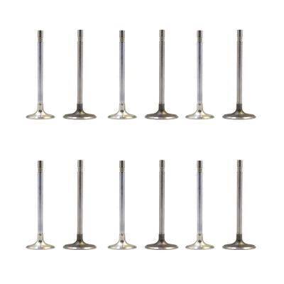 Çelik Subap Takımı Cruze Astra 1.6 Aveo 1.4 09 - 11 Kore - 2