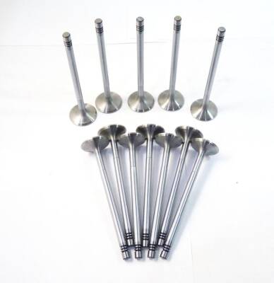 Çelik Subap Takımı Cruze Astra 1.6 Aveo 1.4 09 - 11 Stelitli Tunç - iTHAL