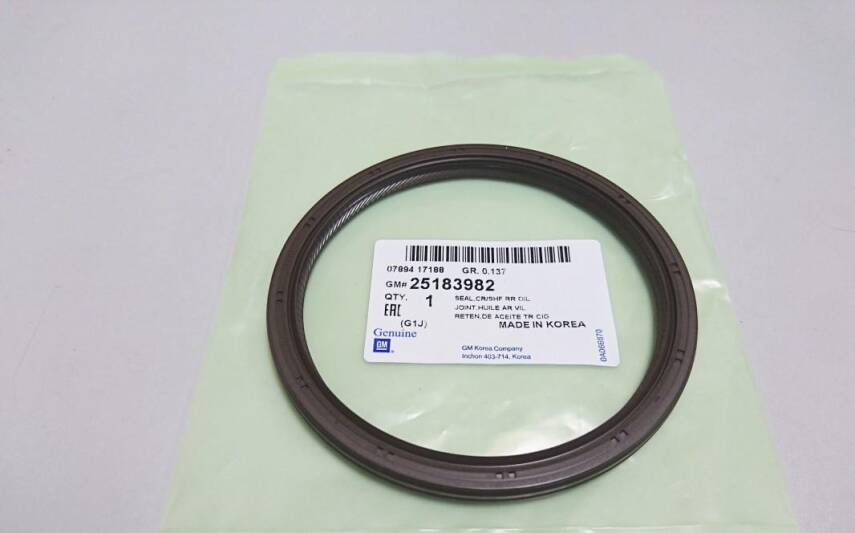 Krank Keçesi Arka Z20S Epica/Captiva GM C100 GM - 1